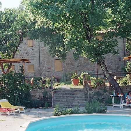 Pensjonat Agriturismo La Fagianaia Borgo a Buggiano Zewnętrze zdjęcie